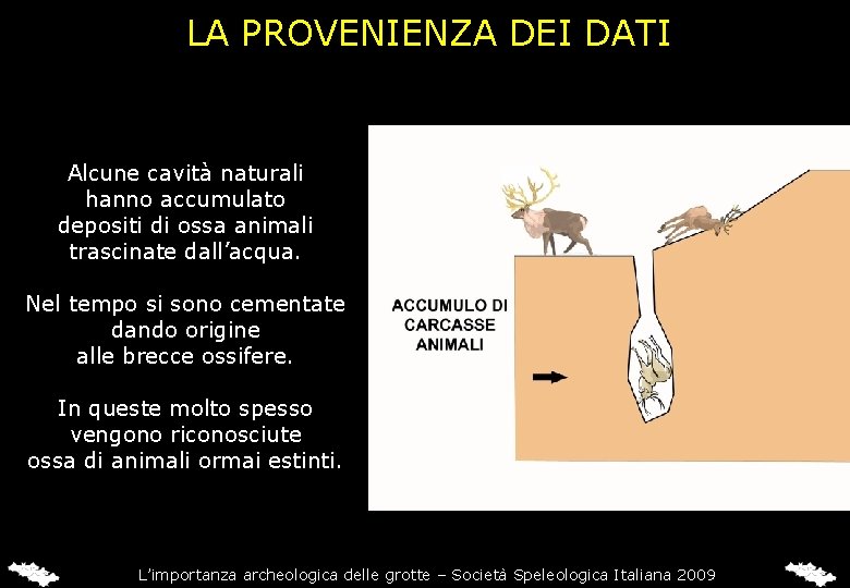 LA PROVENIENZA DEI DATI Alcune cavità naturali hanno accumulato depositi di ossa animali trascinate