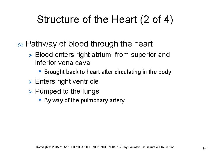 Structure of the Heart (2 of 4) Pathway of blood through the heart Ø