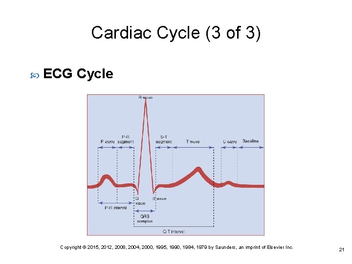 Cardiac Cycle (3 of 3) ECG Cycle Copyright © 2015, 2012, 2008, 2004, 2000,