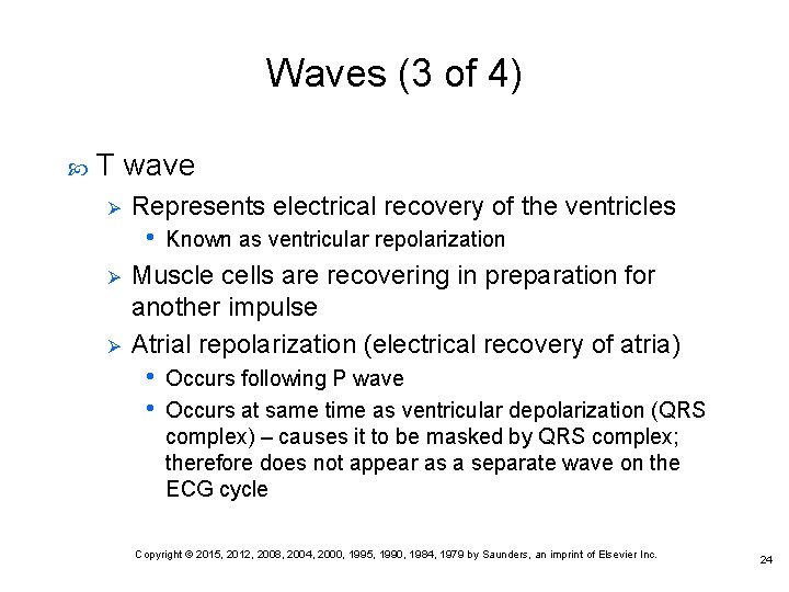 Waves (3 of 4) T wave Ø Represents electrical recovery of the ventricles •