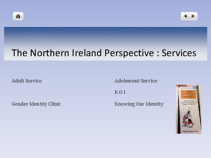The Northern Ireland Perspective : Services Adult Service Adolescent Service K O I Gender