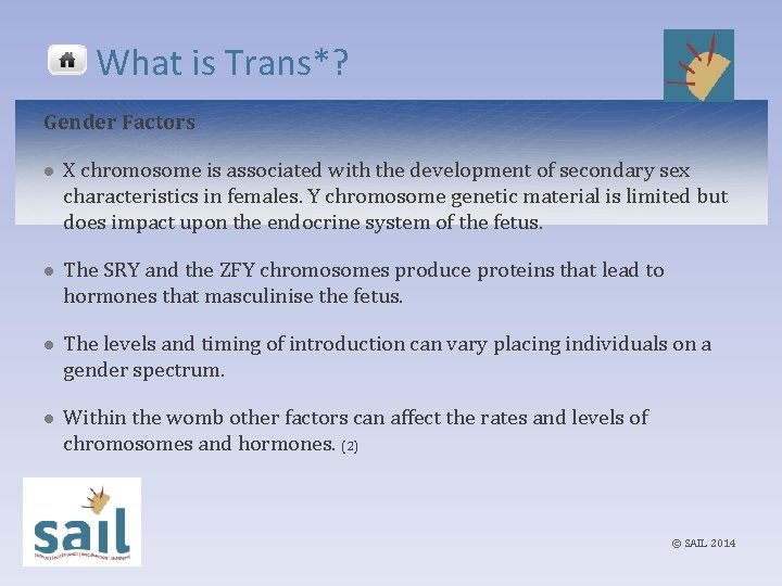 What is Trans*? Gender Factors l X chromosome is associated with the development of