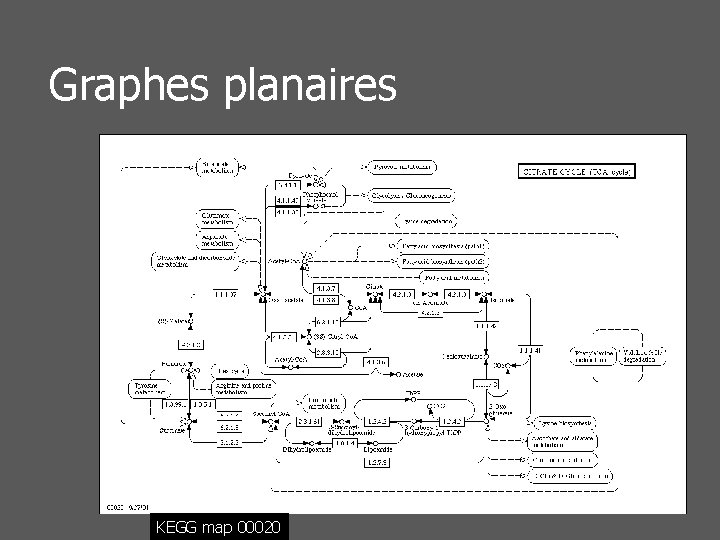 Graphes planaires KEGG map 00020 