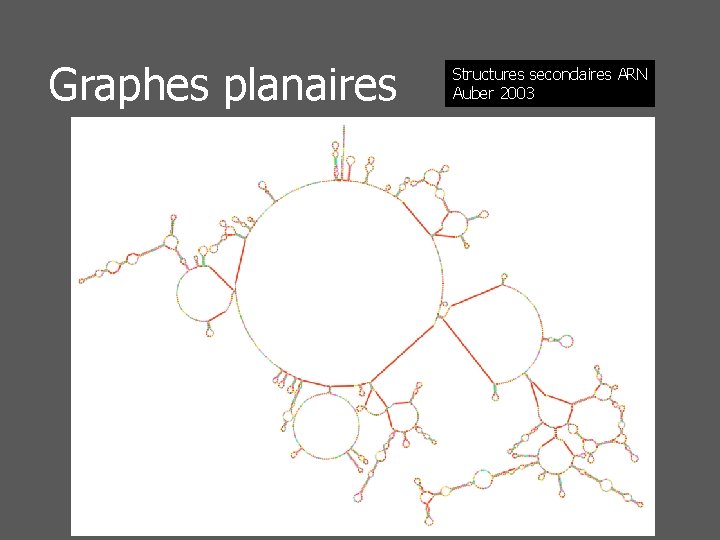 Graphes planaires Structures secondaires ARN Auber 2003 