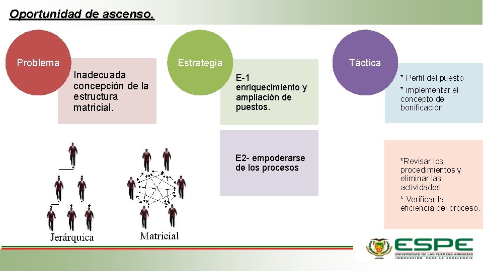 Oportunidad de ascenso. Problema Estrategia Inadecuada concepción de la estructura matricial. Táctica E-1 enriquecimiento