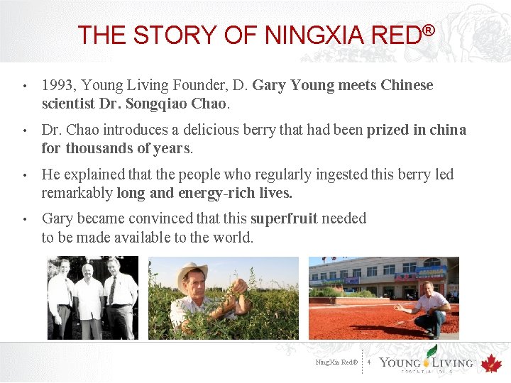 THE STORY OF NINGXIA RED® • 1993, Young Living Founder, D. Gary Young meets