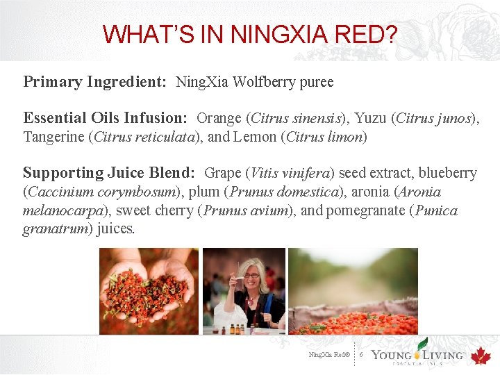 WHAT’S IN NINGXIA RED? Primary Ingredient: Ning. Xia Wolfberry puree Essential Oils Infusion: Orange