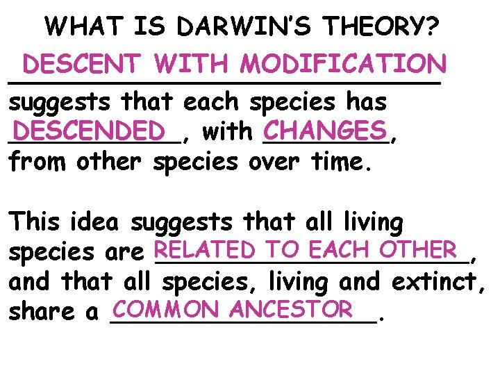 WHAT IS DARWIN’S THEORY? DESCENT WITH MODIFICATION ______________ suggests that each species has DESCENDED