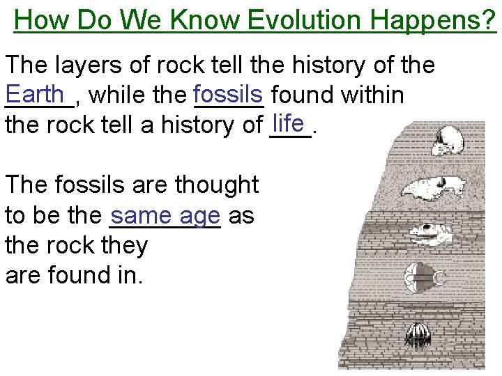 How Do We Know Evolution Happens? The layers of rock tell the history of
