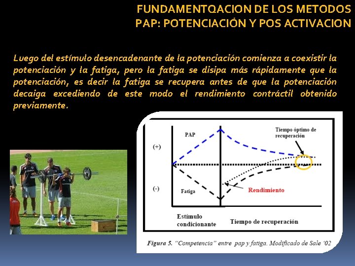 FUNDAMENTQACION DE LOS METODOS PAP: POTENCIACIÓN Y POS ACTIVACION Luego del estímulo desencadenante de FUNDAMENTQACION DE LOS METODOS PAP: POTENCIACIÓN Y POS ACTIVACION Luego del estímulo desencadenante de