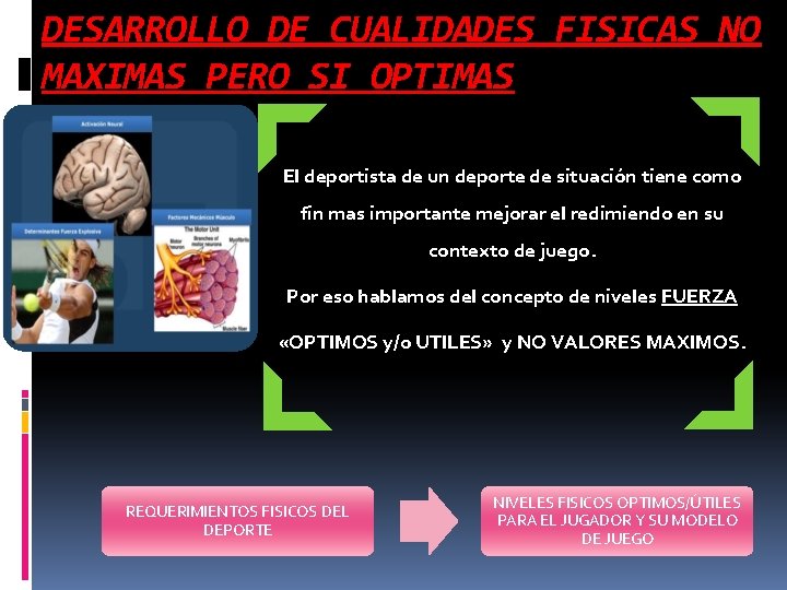 DESARROLLO DE CUALIDADES FISICAS NO MAXIMAS PERO SI OPTIMAS El deportista de un deporte DESARROLLO DE CUALIDADES FISICAS NO MAXIMAS PERO SI OPTIMAS El deportista de un deporte