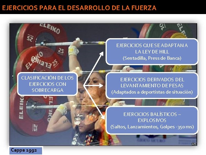 EJERCICIOS PARA EL DESARROLLO DE LA FUERZA EJERCICIOS QUE SE ADAPTAN A LA LEY EJERCICIOS PARA EL DESARROLLO DE LA FUERZA EJERCICIOS QUE SE ADAPTAN A LA LEY