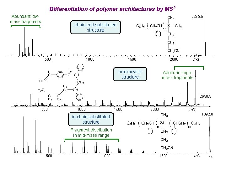 Differentiation of polymer architectures by MS 2 Abundant lowmass fragments 2375. 5 chain-end substituted