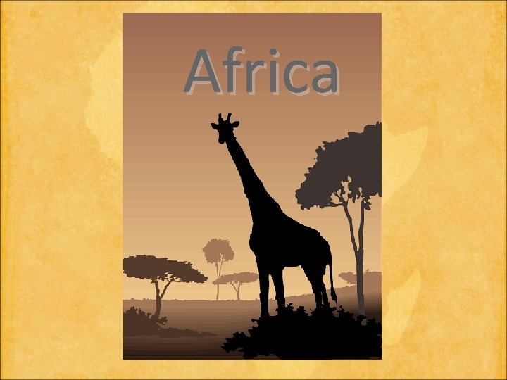 Africa 