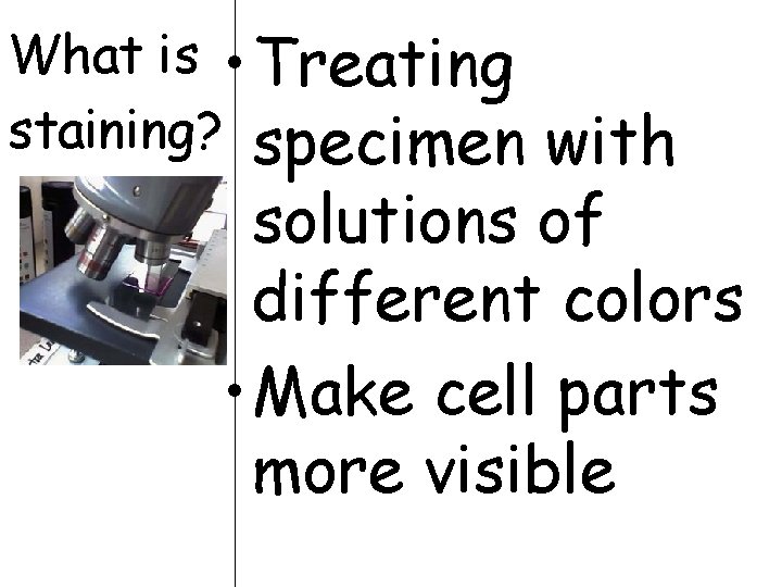 What is • Treating staining? specimen with solutions of different colors • Make cell