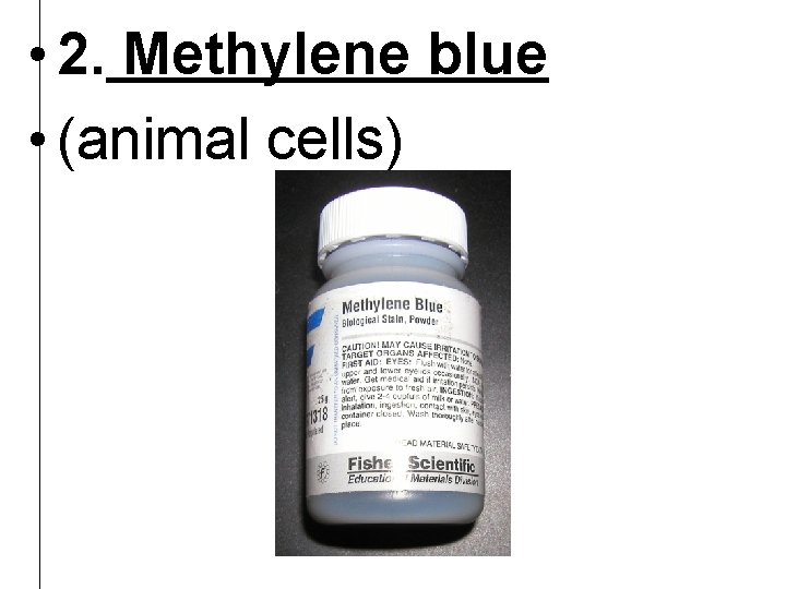  • 2. Methylene blue • (animal cells) 