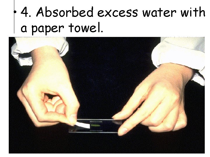  • 4. Absorbed excess water with a paper towel. 