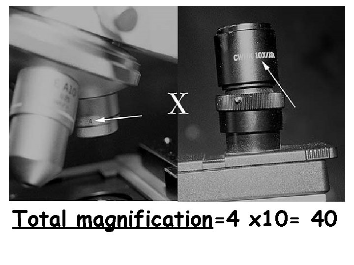 Total magnification=4 x 10= 40 