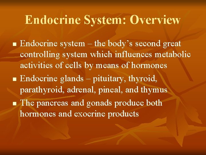 Endocrine System: Overview n n n Endocrine system – the body’s second great controlling