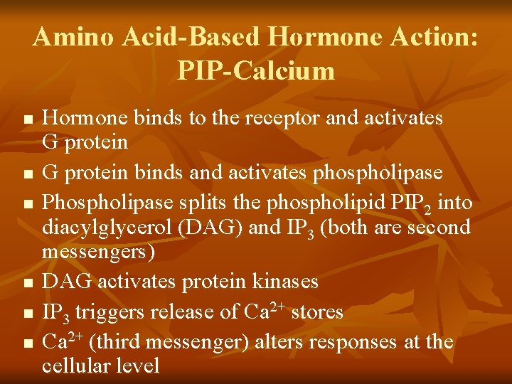 Amino Acid-Based Hormone Action: PIP-Calcium n n n Hormone binds to the receptor and