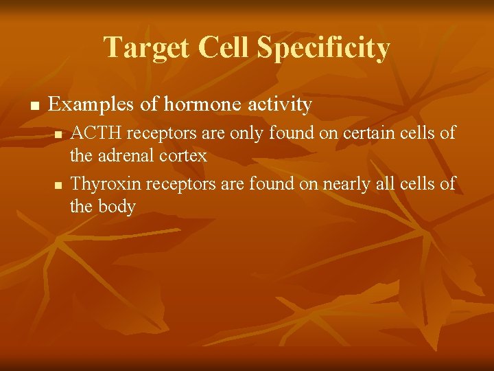 Target Cell Specificity n Examples of hormone activity n n ACTH receptors are only