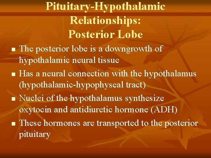 Pituitary-Hypothalamic Relationships: Posterior Lobe n n The posterior lobe is a downgrowth of hypothalamic