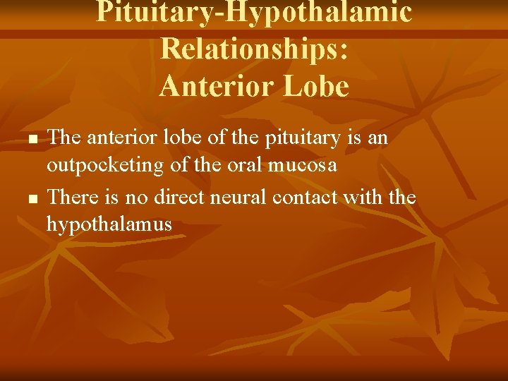 Pituitary-Hypothalamic Relationships: Anterior Lobe n n The anterior lobe of the pituitary is an