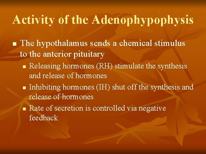 Activity of the Adenophypophysis n The hypothalamus sends a chemical stimulus to the anterior