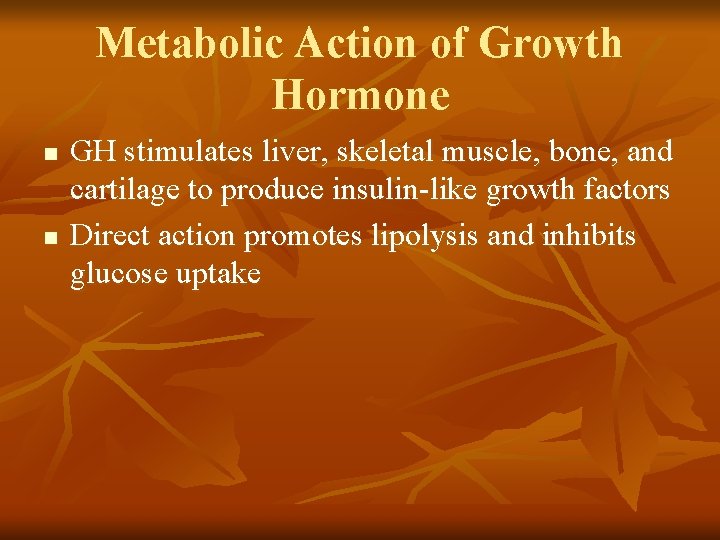 Metabolic Action of Growth Hormone n n GH stimulates liver, skeletal muscle, bone, and