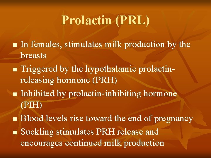 Prolactin (PRL) n n n In females, stimulates milk production by the breasts Triggered