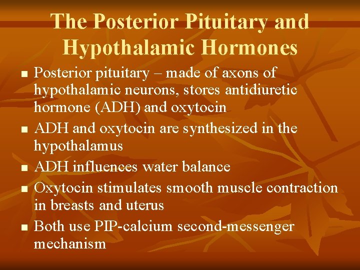 The Posterior Pituitary and Hypothalamic Hormones n n n Posterior pituitary – made of