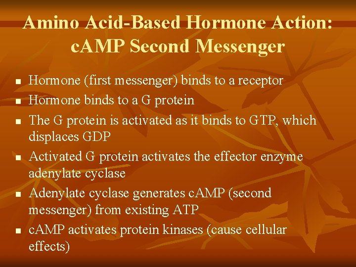 Amino Acid-Based Hormone Action: c. AMP Second Messenger n n n Hormone (first messenger)