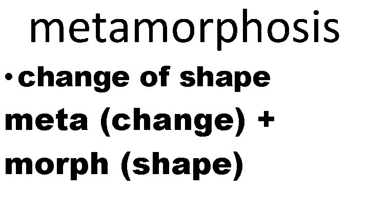 metamorphosis • change of shape meta (change) + morph (shape) 