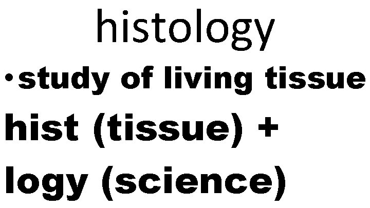 histology • study of living tissue hist (tissue) + logy (science) 