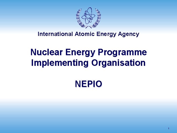 International Atomic Energy Agency Nuclear Energy Programme Implementing Organisation NEPIO 1 