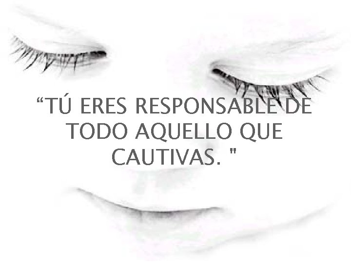 “TÚ ERES RESPONSABLE DE TODO AQUELLO QUE CAUTIVAS. " 