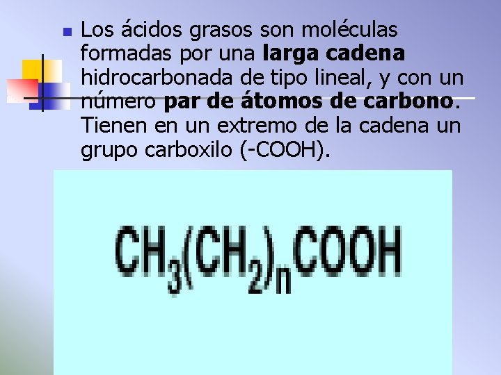 n Los ácidos grasos son moléculas formadas por una larga cadena hidrocarbonada de tipo