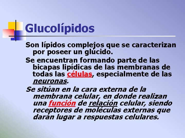 Glucolípidos Son lípidos complejos que se caracterizan por poseer un glúcido. Se encuentran formando
