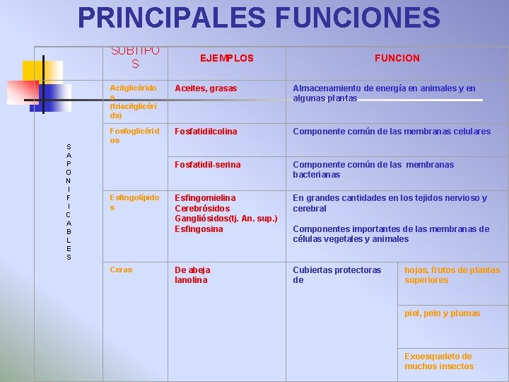 PRINCIPALES FUNCIONES S A P O N I F I C A B L