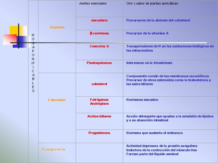 Aceites esenciales Olor y sabor de plantas aromáticas escualeno Precursores de la síntesis del