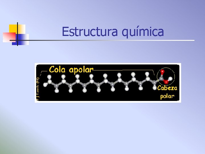 Estructura química 