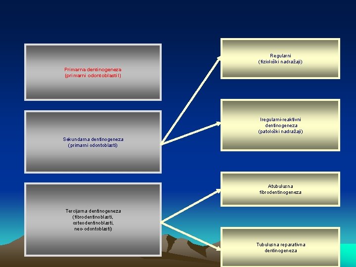 Regularni (fiziološki nadražaji) Primarna dentinogeneza (primarni odontoblasti. I) Iregularni-reaktivni dentinogeneza (patološki nadražaji) Sekundarna dentinogeneza