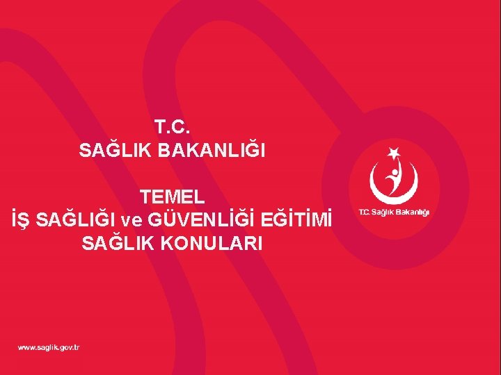 T. C. SAĞLIK BAKANLIĞI TEMEL İŞ SAĞLIĞI ve GÜVENLİĞİ EĞİTİMİ SAĞLIK KONULARI 