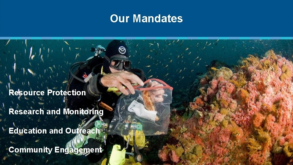 Our Mandates Resource Protection Research and Monitoring Education and Outreach Community Engagement 