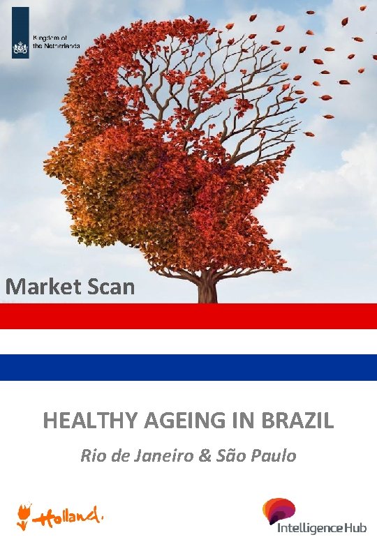 Market Scan HEALTHY AGEING IN BRAZIL Rio de Janeiro & São Paulo 