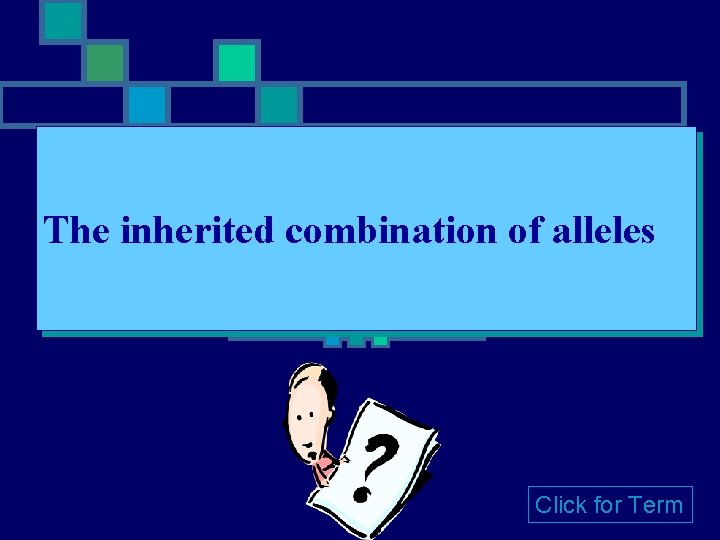 The inherited combination of alleles Click for Term The inherited combination of alleles Click for Term