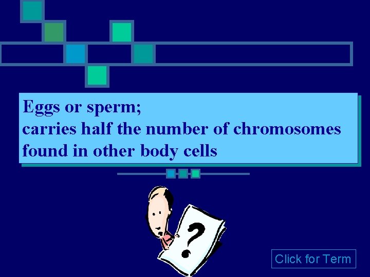 Eggs or sperm; carries half the number of chromosomes found in other body cells Eggs or sperm; carries half the number of chromosomes found in other body cells