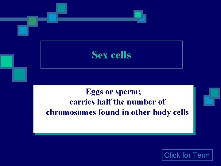 Sex cells Eggs or sperm; carries half the number of chromosomes found in other Sex cells Eggs or sperm; carries half the number of chromosomes found in other