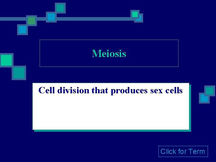 Meiosis Cell division that produces sex cells Click for Term Meiosis Cell division that produces sex cells Click for Term