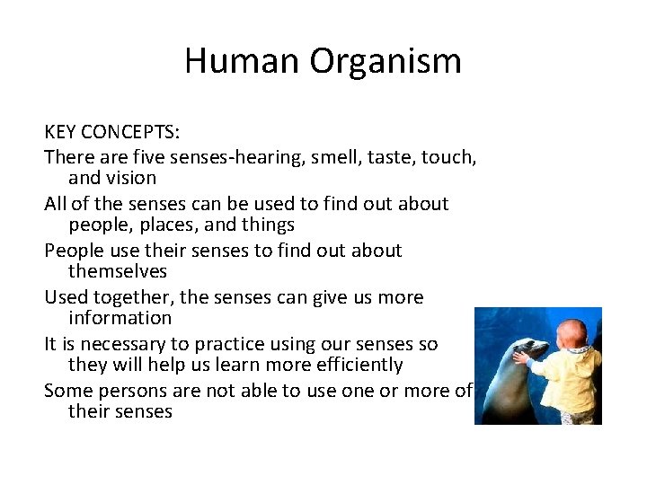 Human Organism KEY CONCEPTS: There are five senses-hearing, smell, taste, touch, and vision All